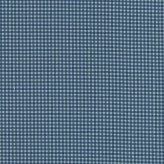 Andover Petite Bee blauw ruitje